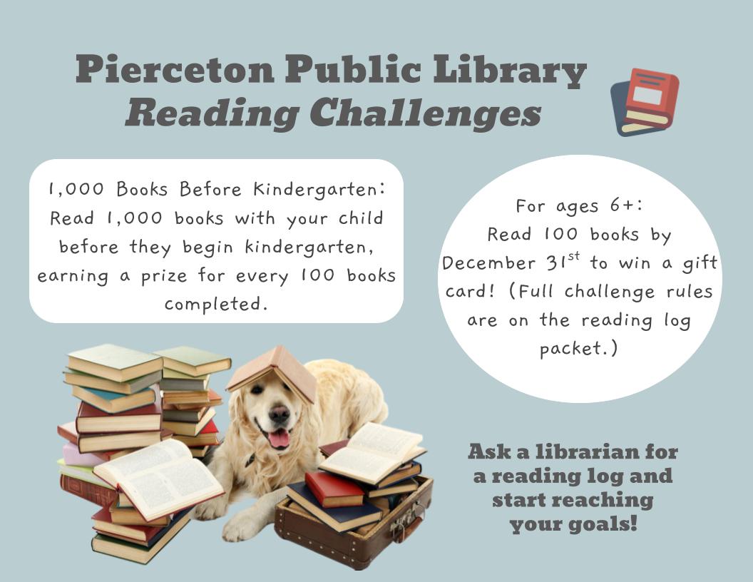 Jan 1 – Dec 21: 2025 Book Challenges